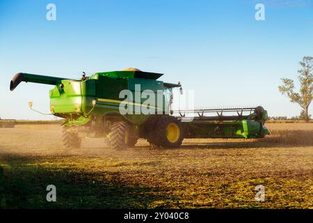 Combine harvester turning. Modern industrial combine harvester harvesting in a soybean field. Stock photo in horizontal banner format. Stock Photo