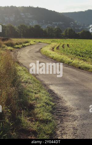 A winding road meanders through lush fields on a sunny day close to Zurich. The scene captures the serene beauty of the Swiss countryside, with the ro Stock Photo