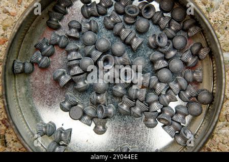 Small caliber lead air gun pellets in a tin can Stock Photo