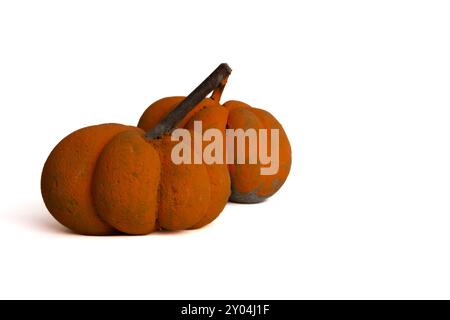 This image shows two small pumpkins isolated on a white background. The pumpkins are a vibrant orange color. Stock Photo