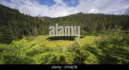 Lake Huzenbach in the northern Black Forest Stock Photo