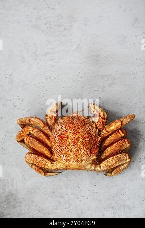 One freshly cooked crab on the gray kitchen table. Top view Stock Photo