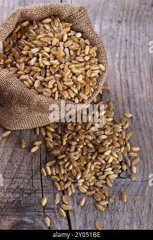 Wheat in small burlap sack on rustic wooden background Stock Photo