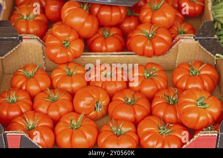 Big tomatoes in crates at market Stock Photo