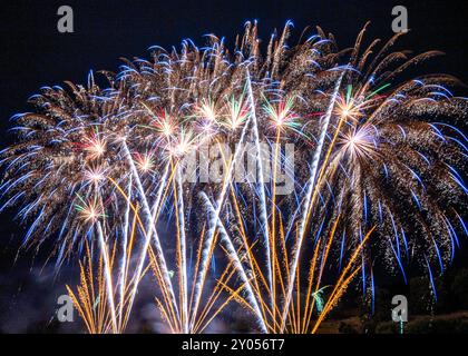 Colorful Fireworks Display against Black Sky Stock Photo