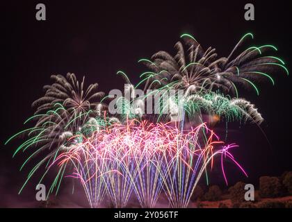 Colorful Fireworks Display against Black Sky Stock Photo