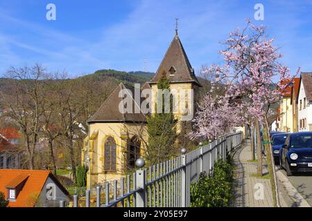 Die Nikolauskapelle in Gimmeldingen waehrend der Mandelbluete, the chapel Nikolauskapelle in Gimmeldingen during the almond blossom Stock Photo