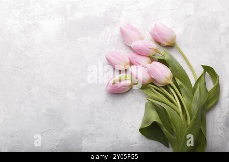 Bouquet of pink tulip flowers on gray stone background top view in flat lay style copy space Stock Photo