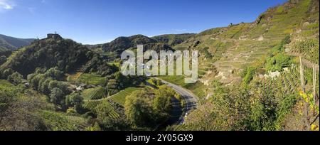 Panorama of the vineyards in the Ahr valley on the red wine hiking trail near Mayschoss Stock Photo