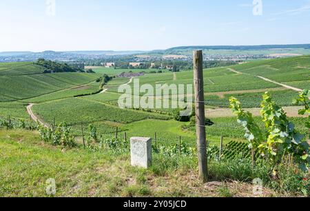 epernay, france, 19 july 2024: name stone near vineyards of moet et chandon near epernay in champagne-ardenne Stock Photo