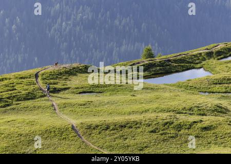 Mountain biker with traildog, man with Vizsla dog on a bike trail, Pischa, Huereli above Davos, Graubuenden, Switzerland, Europe Stock Photo