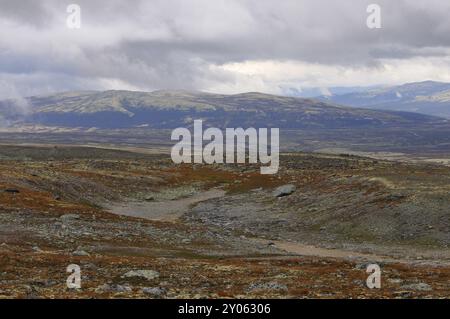 Mountain tundra in Sweden, in the fall. In Dovrefjell National Park. Mountain tundra in Sweden, in autumn Stock Photo