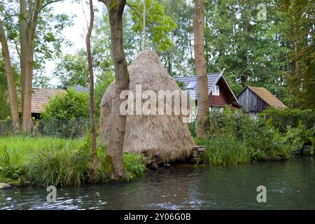 Haystack on the banks of the Spree, Spreewald, Brandenburg, Germany, Europe Stock Photo