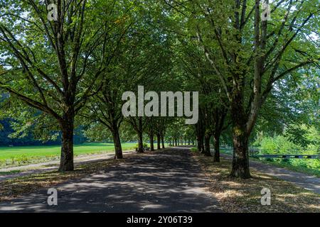 The Lichtentaler Allee in the spa gardens of Baden Baden. Baden Wuerttemberg, Germany, Europe Stock Photo