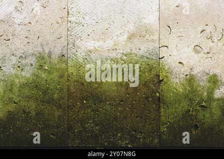 Textured background vertical facing tiles from shell stone with traces of moss formation in the form of green mold. Grunge background with elements of Stock Photo
