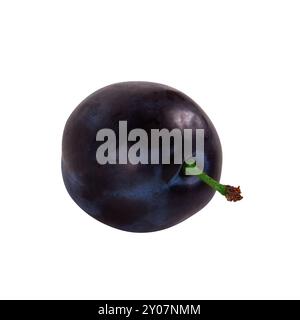 Single ripe plum isolated on white background Stock Photo
