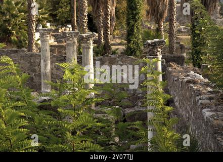 The Greek island of Kos in the eastern Aegean is the third largest island of Dodecanese after Rhodes and Karpathos Stock Photo