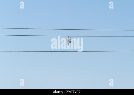 dead bird hanging from an electric wire against clear blue sky Stock Photo