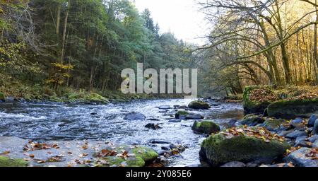 Fluss Ilz im Bayerischen Wald, Fluss Ilz im Bayerischen Wald Stock Photo