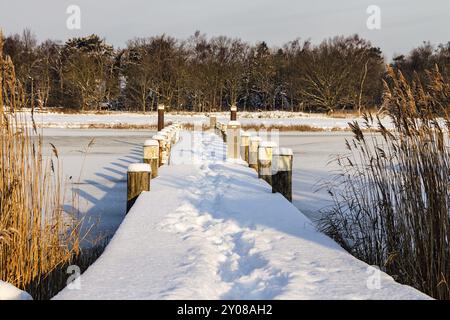 Winter on the Prerow Current with snow Stock Photo