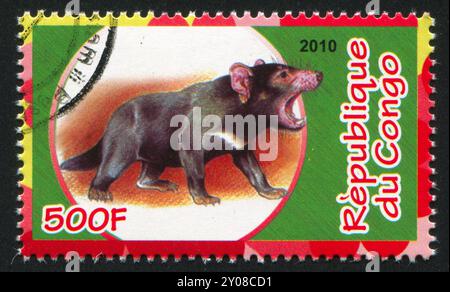 CONGO - CIRCA 2010: stamp printed by Congo, shows Tasmanian devil, circa 2010 Stock Photo