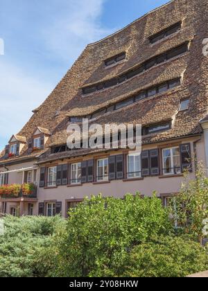 Characteristic old building with sloping tiled roof, shutters, balcony and flowers, surrounded by a green hedge, Weissenburg, Alsace, France, Europe Stock Photo
