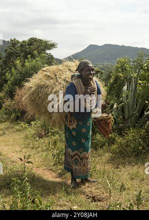 Woman from the Banna ethnic group with a bale of hay on her back and honey in her hand on her way to the market in Keyafar, Southern Omo Valley, Ethio Stock Photo