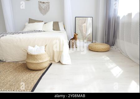 Bengal cat with green eyes in the bedroom in light tones Stock Photo