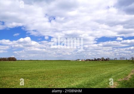 Beautiful Dutch plain landscape with farm house and blue sky and white clouds Stock Photo