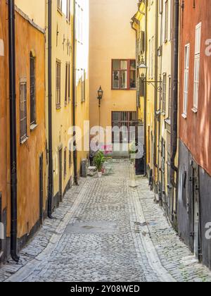 A narrow cobbled alleyway lined with colourful, historic buildings and flower pots, stockholm, baltic sea, sweden, scandinavia Stock Photo