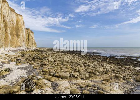 Chalk cliffs and coastline at Friars Bay, Peacehaven, near Brighton, East Sussex, England, UK Stock Photo