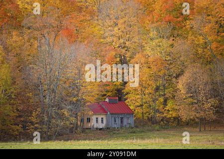 Old farm in Canada under colourful trees Stock Photo