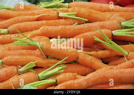 Carrot, carrot Stock Photo