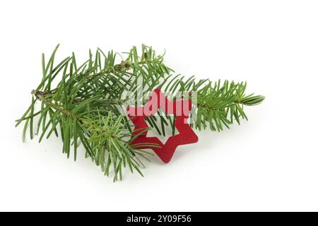 Fresh fir branch with small red christmas star made of wood, isolated on white background, greetings for christmas or new year Stock Photo
