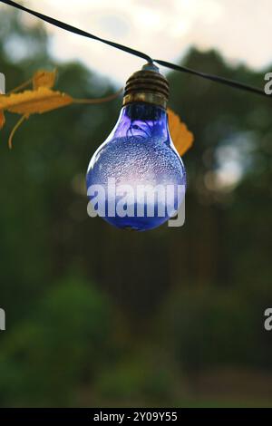 String of lights hanging on the tree. Garden party. Romantic place. Colorful light bulbs. Evening atmosphere, festive mood. Weekend, vacation or every Stock Photo