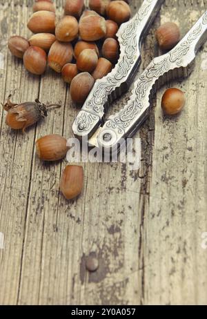 Hazelnuts (filbert) and nutcracker on old wooden table. Close up Stock Photo