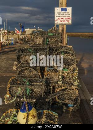 Seahouses, Northumberland, England, UK, September 08, 2018: Sign No dogs allowed on this pier, with fish traps in front of dark clouds Stock Photo