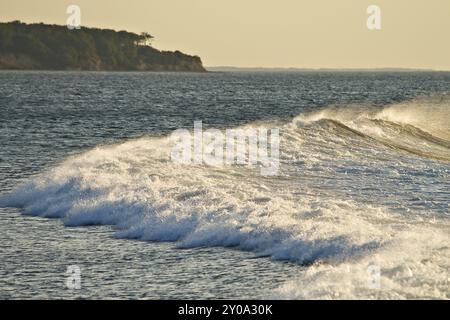 A wave on the Baltic coast Stock Photo