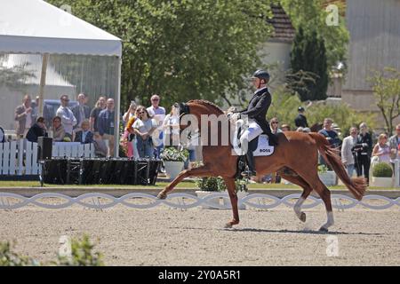 Matthias Alexander Rath on Destacado FRH, dressage rider, German Championships, Balve Stock Photo