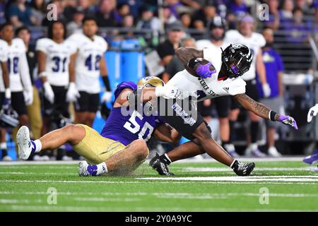 August 31, 2024: Washington Huskies defensive tackle Sebastian Valdez (50) brings down Weber State Wildcats running back Adrian Cormier (2) during the NCAA football game between the Washington Huskies and the Weber State Wildcats at Husky Stadium in Seattle, WA. Washington defeated Weber State 35-3. Steve Faber/CSM Stock Photo