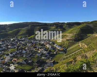 Vineyards near Rech on the red wine hiking trail in the Ahr valley Stock Photo