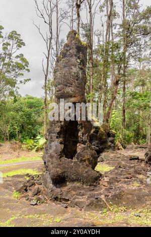 A Hawaii State Monument shows the unusual lava molds of tree trunks. In the 1700s, lava flow swept through the area, coating the trunks of trees, leav Stock Photo