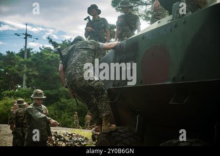 U.S. Marine Corps Sgt. Richard Espinoza, left, an amphibious combat vehicle commander assigned to Alpha Company, Battalion Landing Team 1/5, 15th Marine Expeditionary Unit, and a native of Utah, assists a Republic of Korea (ROK) Marine assigned to 3rd Battalion, 7th Brigade, 1st ROK Marine Division, climb down from an Amphibious Combat Vehicle during a walk-through class at Jeongcheon-ri, South Korea, Aug. 20, 2024. Integrated training between the two countries strengthens the ROK-U.S. Alliance through bilateral, joint training, contributing toward combined capability in defense of the Korean Stock Photo