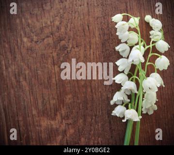 Lilies of the valley on wooden textured background. Close up Stock Photo