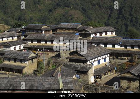 Beautiful Gurung village Ghandruk, Annapurna Conservation Area, Nepal, Asia Stock Photo