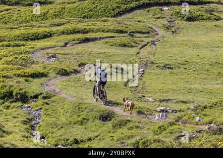 Mountain biker with traildog, man with Vizsla dog on a bike trail, Pischa, Huereli above Davos, Graubuenden, Switzerland, Europe Stock Photo