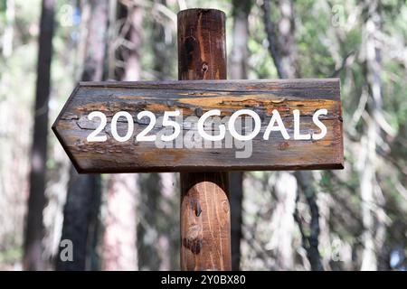 Copy space. 2025 GOALS written on a wooden signpost against a forest background Stock Photo