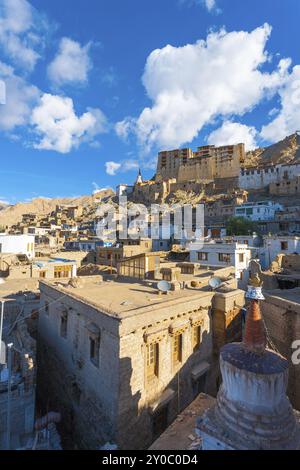 Leh Palace above cityscape of downtown Leh houses in Ladakh, India. Vertical Stock Photo