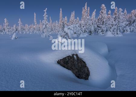 Winter landscape, Muddus National Park, Laponia World Heritage Site, Norrbotten, Lapland, Sweden, December 2014, Europe Stock Photo