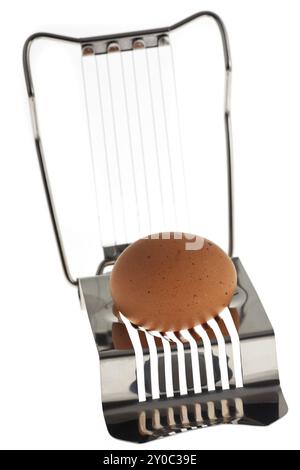 Egg slicer with an egg in front of a white background Stock Photo